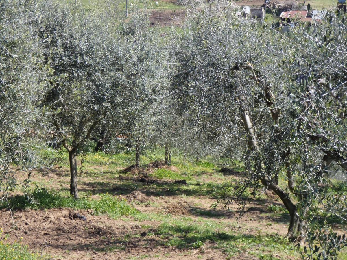 I Due Melograni Agriresort Tarano Zewnętrze zdjęcie